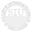 Société Internationale d'Urologie